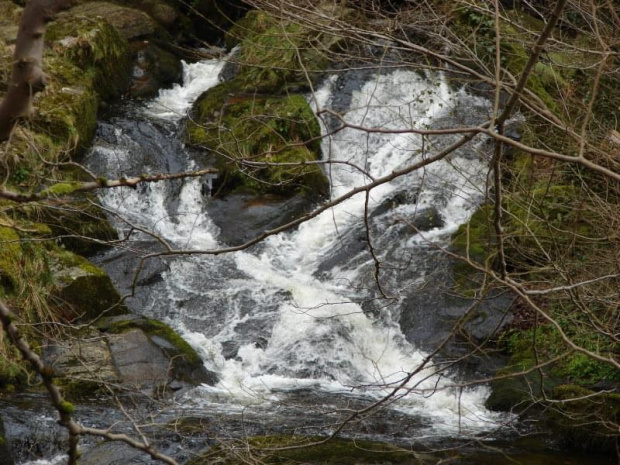 potok w Wicklow Mountains