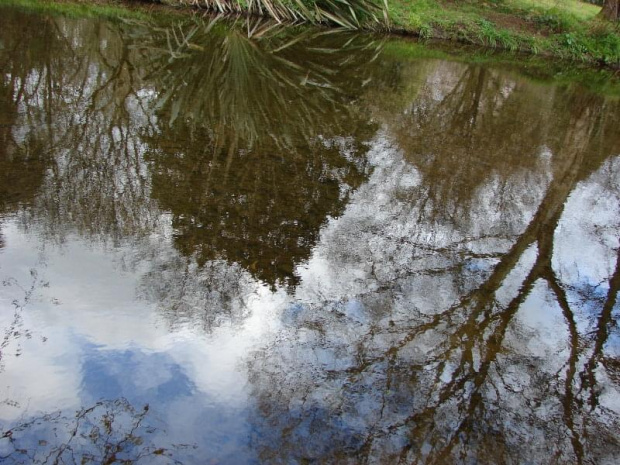 Mount Usher Gardens