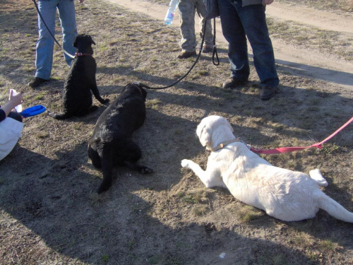 Skrajnica-30.03.2008r.