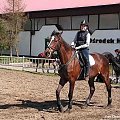 Halowe Regionalne Zawody w Rybniku-Stodolach 30.03.2008
