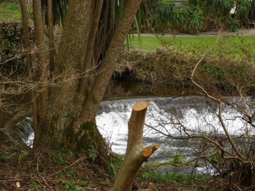 Mount Usher Gardens