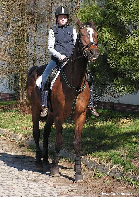 Halowe Zawody w Stodołąch 30.03.2008