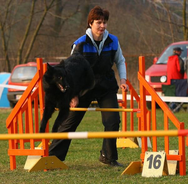 Zawody Agility Płock 5-6.04.2008 Psy