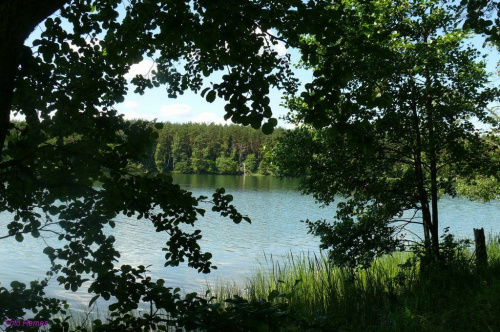 Jezioro Przylasek #JezioroPrzylasek #Mazury #Remes #Rower
