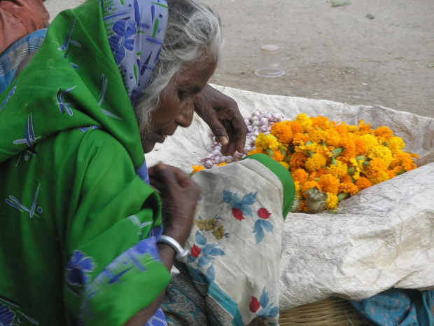 sprzedaje se babcia kwiatki dla bostwa