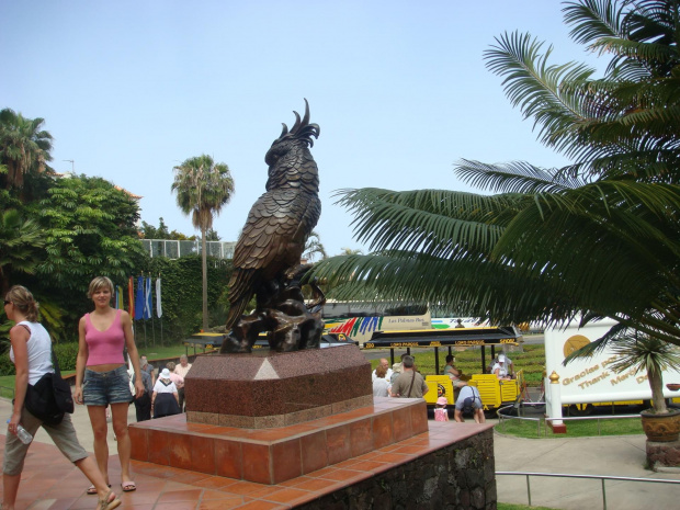 tenerifa 4.08. loro park