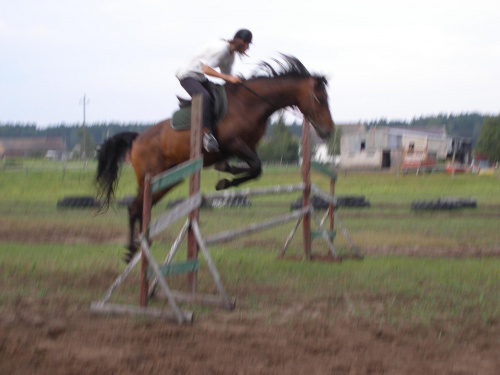 #kalinówka #konie #ObózKonny #skoki #galop #Wakacje2007