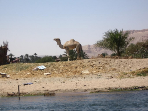 Luxor
