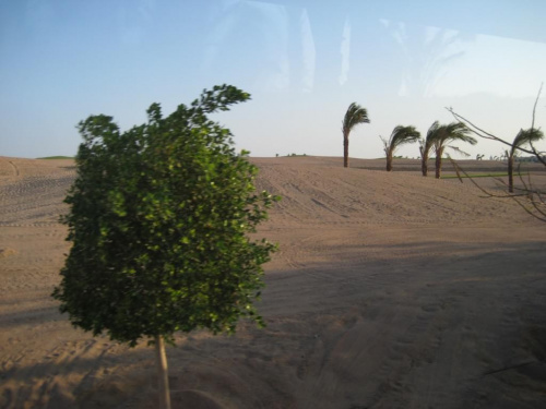 Luxor