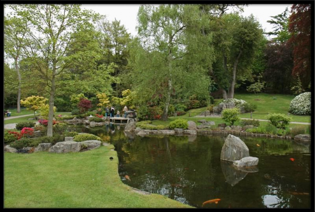 Holand park, London, zakątęk KYOTO GARDEN