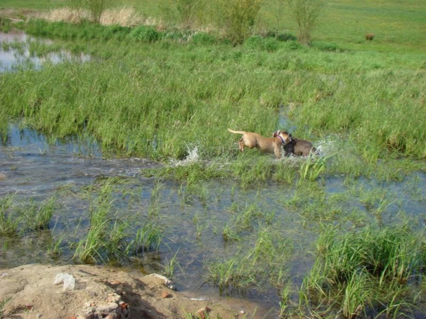 zabawa Tejli i Lucka 2 maja 2008