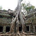 Ta Prohm