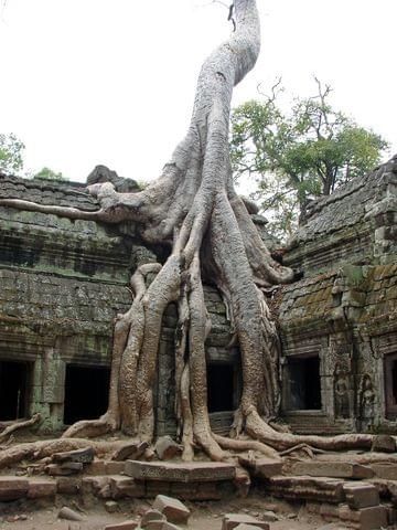 Ta Prohm