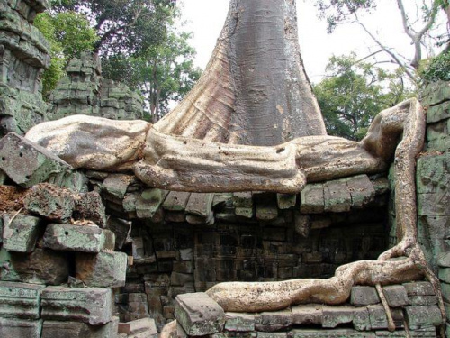 Ta Prohm