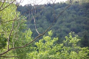 #BIESZCZADY #góry