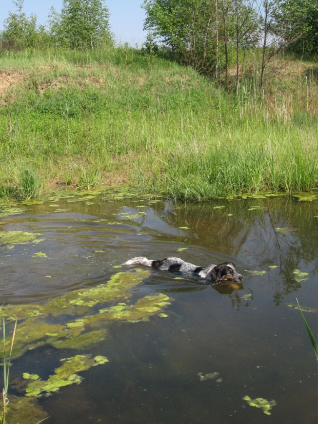 pływajaca Doszka