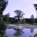 Widok ogólny z Arboretum w Bolestraszycach #bolestraszyce #arboretum