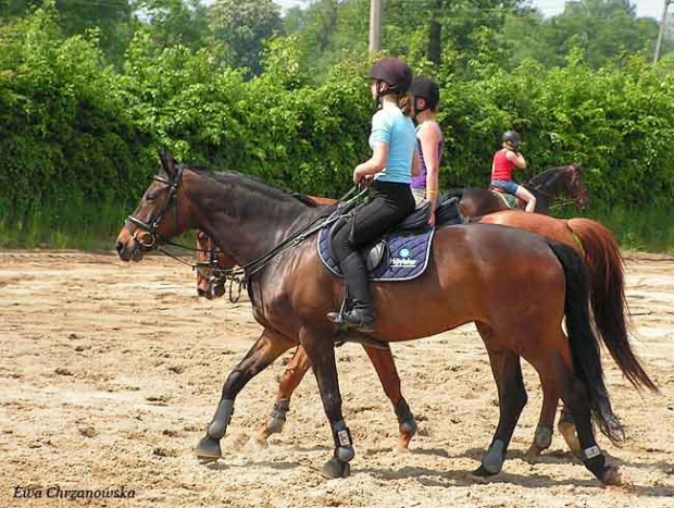 17.05.2008 Zawody w Stodołach