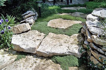 W moim ogrodzie #KAMIENIE #MojeRosliny #MÓJODRÓD #ogrod #PieknoPrzyrody #POMYSLY #przyroda #WAPIEN