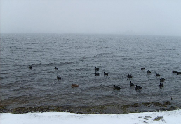 Jezioro Kunickie koło Legnicy, zima 2007