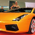Lamborghini Galardo #LamborghiniGalardo #Gallardo #Lamborghini #AutoMotoShow #TargiWKatowicach #TargiMotoryzacyjne #samochód #pojazd #motoryzacja #samochody #pojazdy #wystawa #wystawy #tuning
