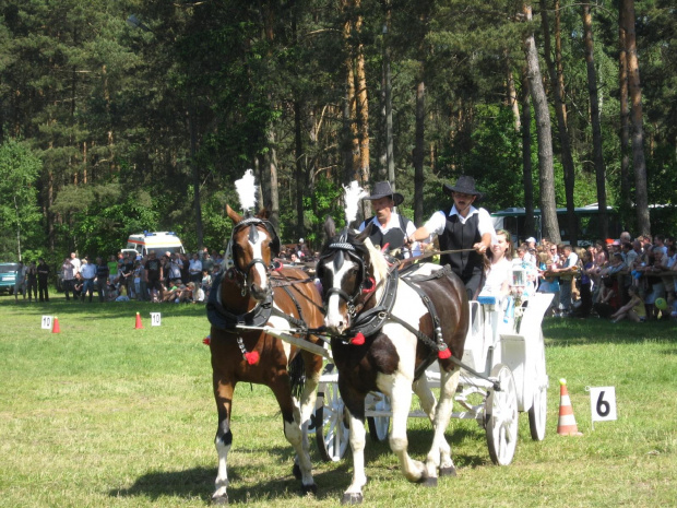 Pajęczno 2008