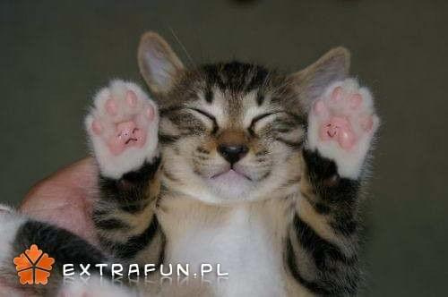 www.extrafun.pl #extrafun
