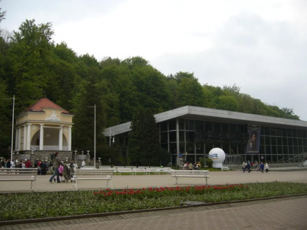 Krynica