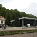 Krynica