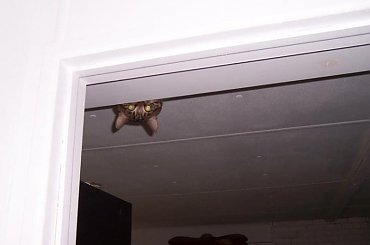 Monitoring :] #humor #dowcip #śmieszne #smieszne