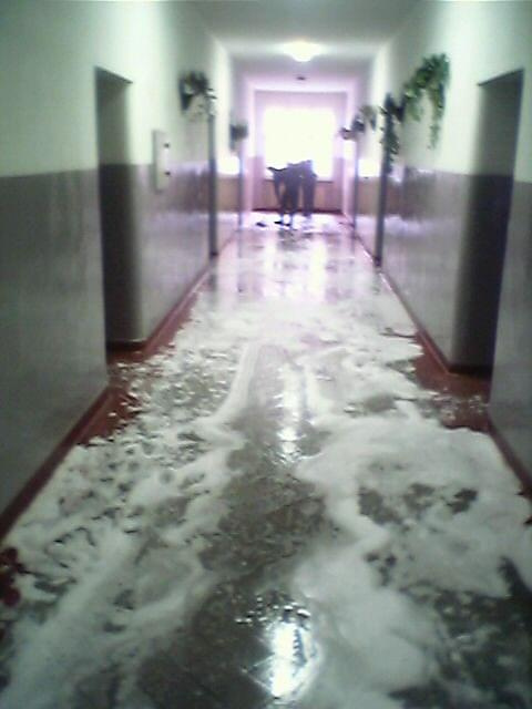 Bo korytarz był za brudny... #sprzątanie #korytarz #miotła