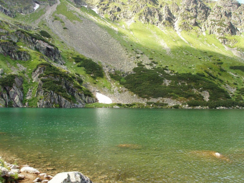 staw tatry