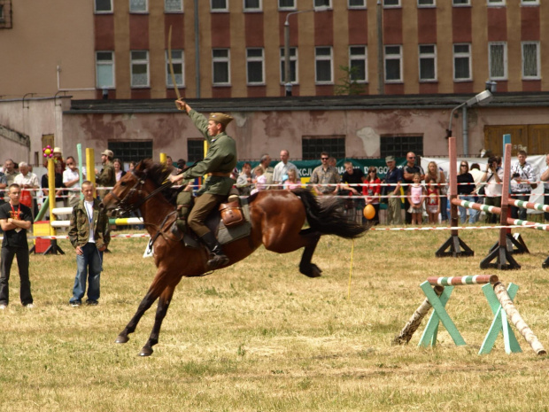 Piknik Kawaleryjski w Suwałkach #konie #Suwałki #PiknikKawaleryjski