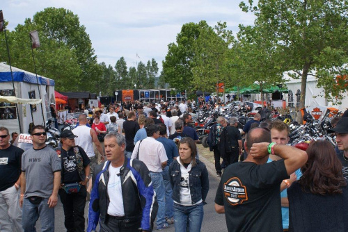 #Harley #HarleyDavidson #Balaton #Węgry #zlot #Motocykl #Alsoors