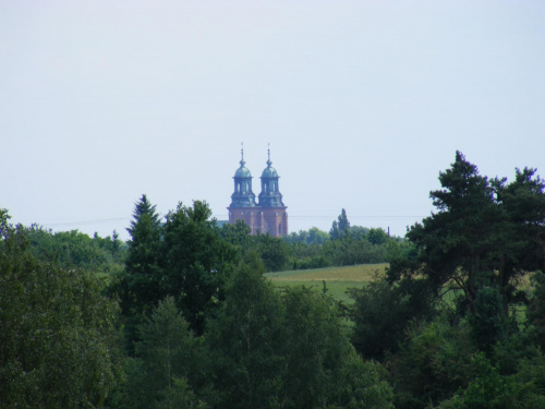 katedra gnieznieska widok z kudtodii