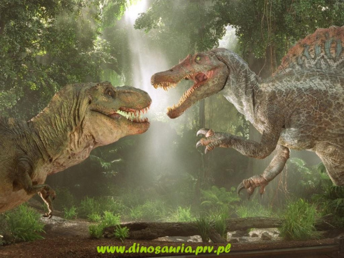 www.dinosauria.prv.pl
Wszystko o dinozaurach...