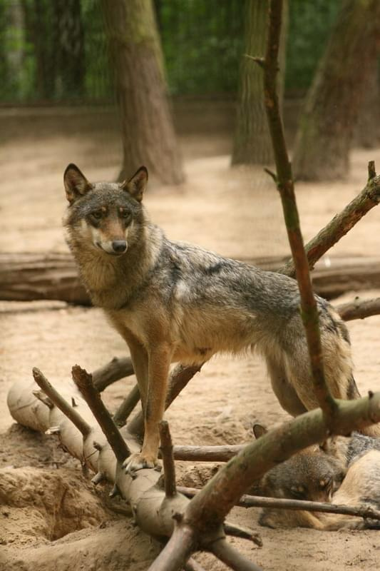 bydgoszcz zoo