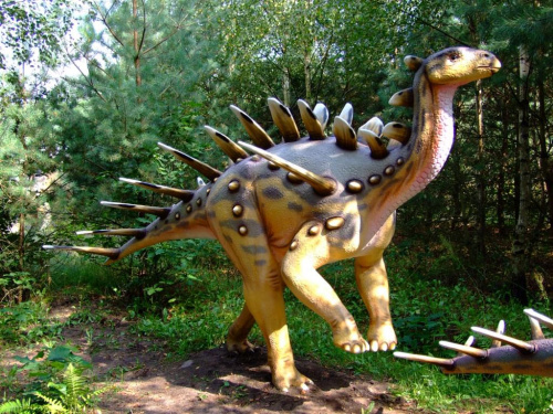 Kentrozaur #dinozaur #kentrozaur