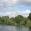 Widok na londynskie oczko:) #Niebo #chmurki #jeziorko #park #LondonEye #roślinki
