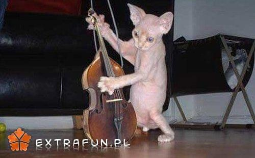 www.extrafun.pl #extrafun