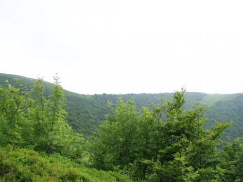 #bieszczady