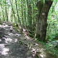 #bieszczady