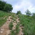 #bieszczady