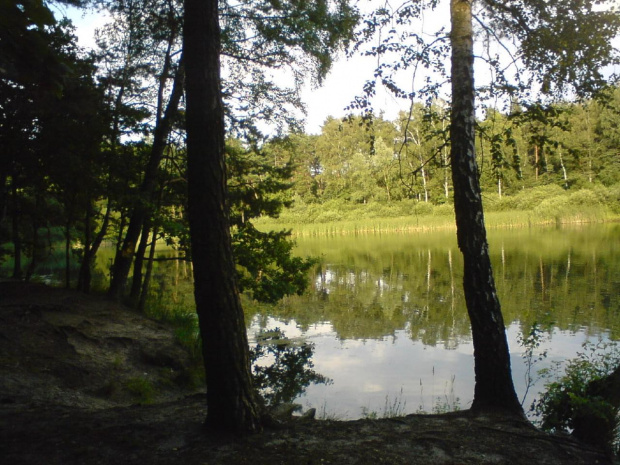 Mały akwen na Kuźniczkach dzielnicy miasta Kędzierzyn Koźle #JezioroKuźniczka