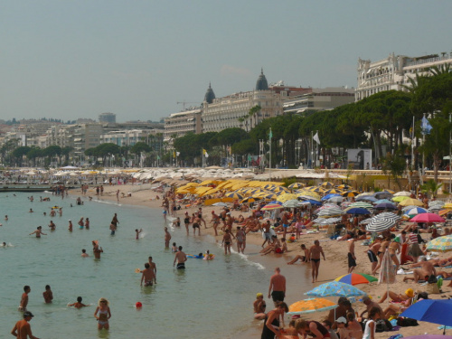 Cannes - w głębi słynny hotel Carlton, symbol luksusu i elegancji #LazuroweWybrzeże