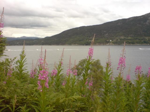 Fjordy Hordaland