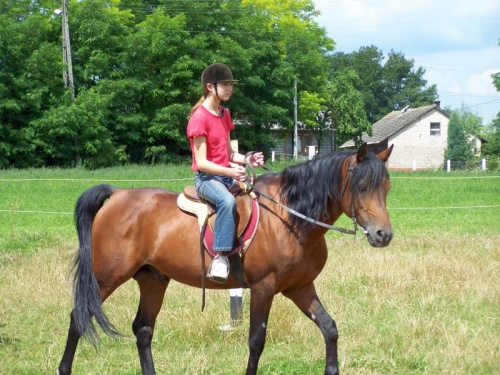 Zarogów 22.07.2008