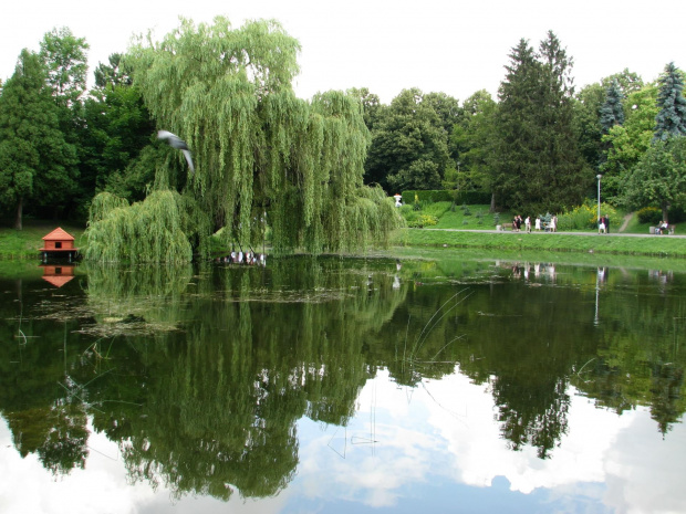 Park w Zamościu