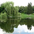 Park w Zamościu