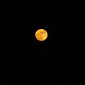 Pomarańczowy księżyc #księżyc #pełnia #noc #niebo #nocne